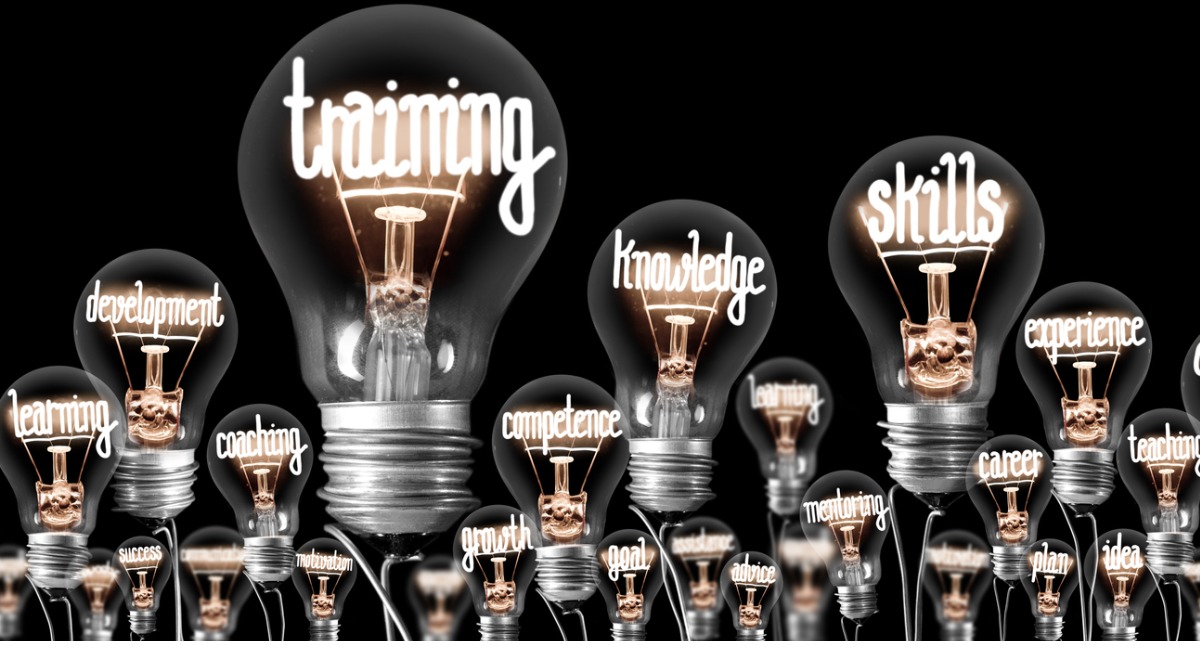 Bildung Bildung
